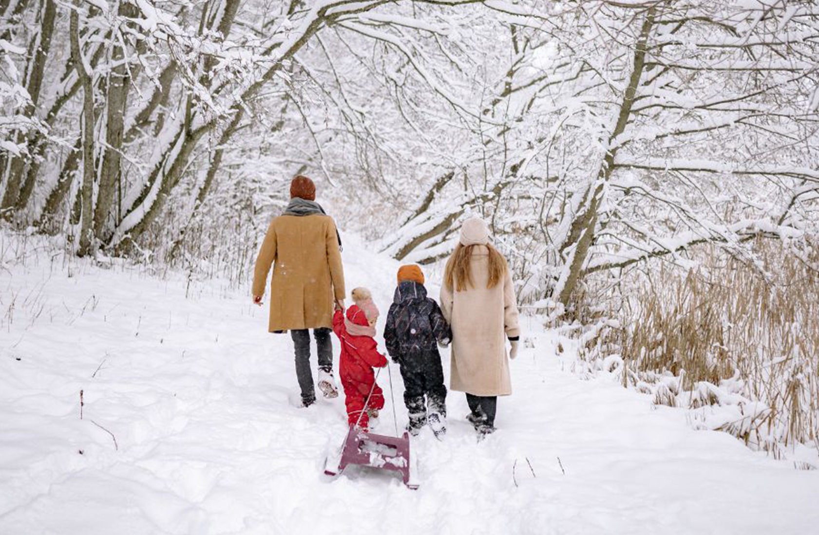 Winter in Wainfleet